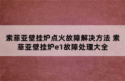 索菲亚壁挂炉点火故障解决方法 索菲亚壁挂炉e1故障处理大全